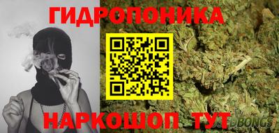 индика Будённовск