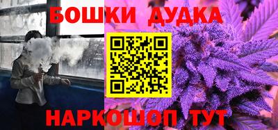 индика Будённовск