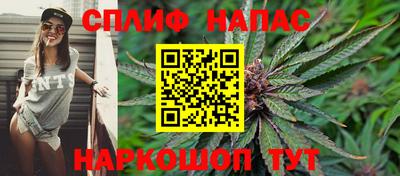 индика Будённовск