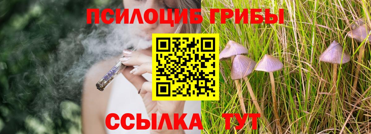 Галлюциногенные грибы MAGIC MUSHROOMS  Вход с VPN  Псилоцибиновые грибы Magic Shrooms  как найти наркотики  Лесной 